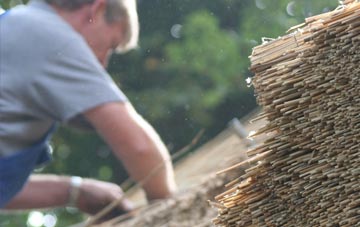 professional Pistyll thatchers